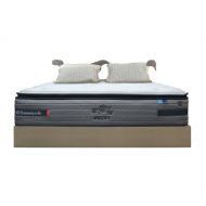 SEALY POSTUREPEDIC MATTRESS JOLLITY W STORAGE BF - Q