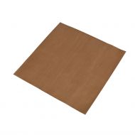 LINCAT NON-STICK TELFON TFS05 SHEETS
