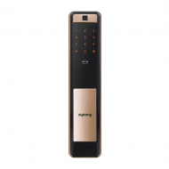 ZIGBANG DL SHP-P72 GOLD SHP-P72 GOLD