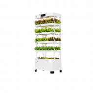 SINGRASS INDOOR FARM MACHINE SMART ECO SYSTEM GEN 1