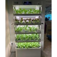 SINGRASS INDOOR FARM MACHINE SMART ECO SYSTEM GEN 1